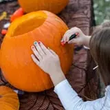 The Scarecrow Patch photo