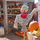 The Scarecrow Patch photo