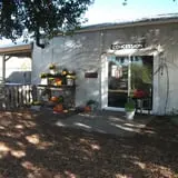 The Scarecrow Patch photo