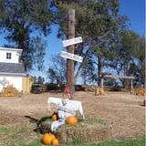 The Scarecrow Patch photo