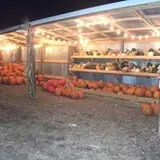 The Scarecrow Patch photo