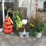 The Scarecrow Patch photo