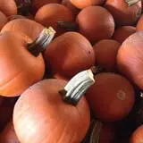 Muscoot Farm photo