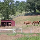 Muscoot Farm photo