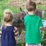 Muscoot Farm photo