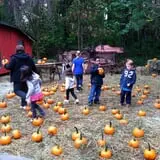 Smith Hollow Farm photo