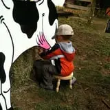 Smith Hollow Farm photo