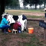 Smith Hollow Farm photo