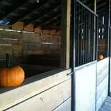 Smith Hollow Farm photo