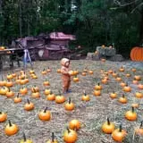 Smith Hollow Farm photo