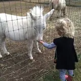 Smith Hollow Farm photo