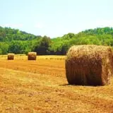 Kyker Farms Corn Maze photo