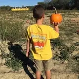 Kyker Farms Corn Maze photo