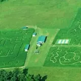 Kyker Farms Corn Maze photo