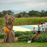 Kyker Farms Corn Maze photo