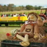 Kyker Farms Corn Maze photo