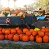 Kyker Farms Corn Maze photo