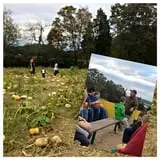 Kyker Farms Corn Maze photo