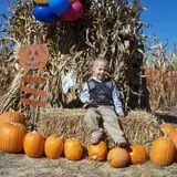 Kyker Farms Corn Maze photo