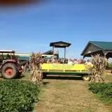 Kyker Farms Corn Maze photo