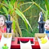 Kyker Farms Corn Maze photo