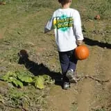 Kyker Farms Corn Maze photo