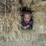 Kyker Farms Corn Maze photo