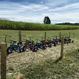 Kyker Farms Corn Maze photo
