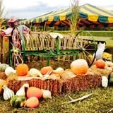 Kyker Farms Corn Maze photo