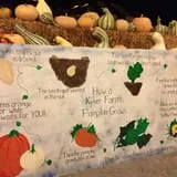 Kyker Farms Corn Maze photo