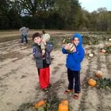 Kyker Farms Corn Maze photo