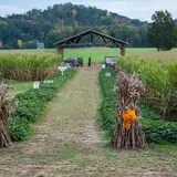 Kyker Farms Corn Maze photo