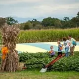 Kyker Farms Corn Maze photo
