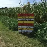 Kyker Farms Corn Maze photo