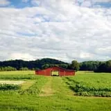 Kyker Farms Corn Maze photo