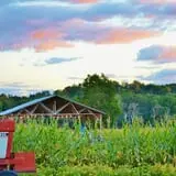 Kyker Farms Corn Maze photo