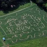 Kyker Farms Corn Maze photo