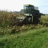 Kyker Farms Corn Maze photo