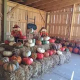 Kyker Farms Corn Maze photo