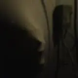 What the?