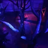 Nile Nightmares Haunted House photo