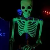 Front Yard Display 