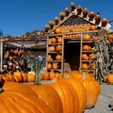 Fall City Farms photo