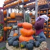 Fall City Farms photo