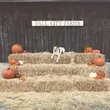 Fall City Farms photo