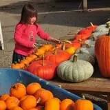 Fall City Farms photo