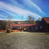 Fall City Farms photo