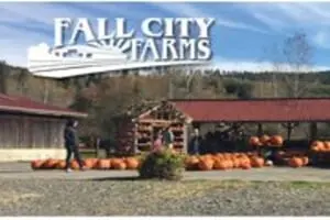 Fall City Farms