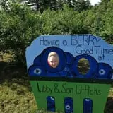Libby & Son U-Picks photo