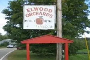 Elwood Orchards Corn Maze